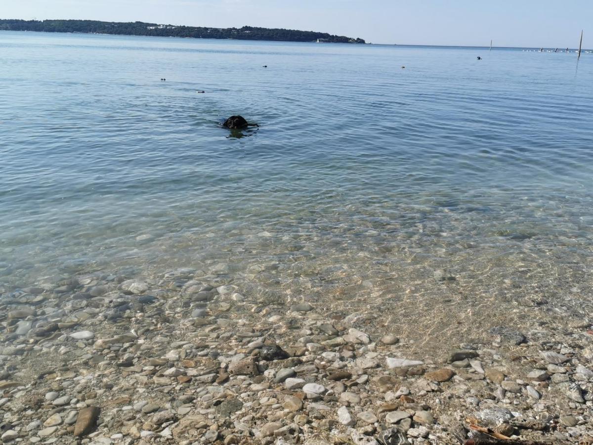 Mirta Deluxe Superior 5 Star Apartment, Your Piece Of Heaven By The Sea & Park, With Sea & Park View Novigrad  Exterior photo