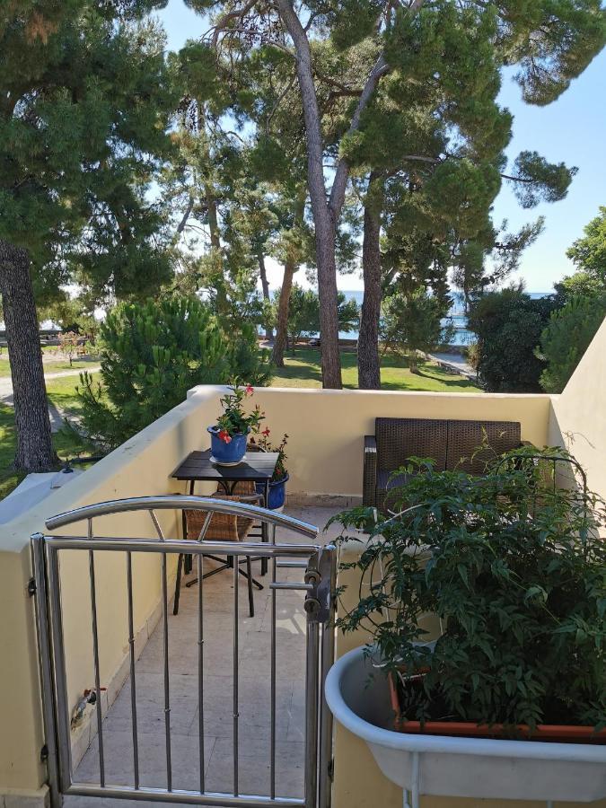 Mirta Deluxe Superior 5 Star Apartment, Your Piece Of Heaven By The Sea & Park, With Sea & Park View Novigrad  Exterior photo